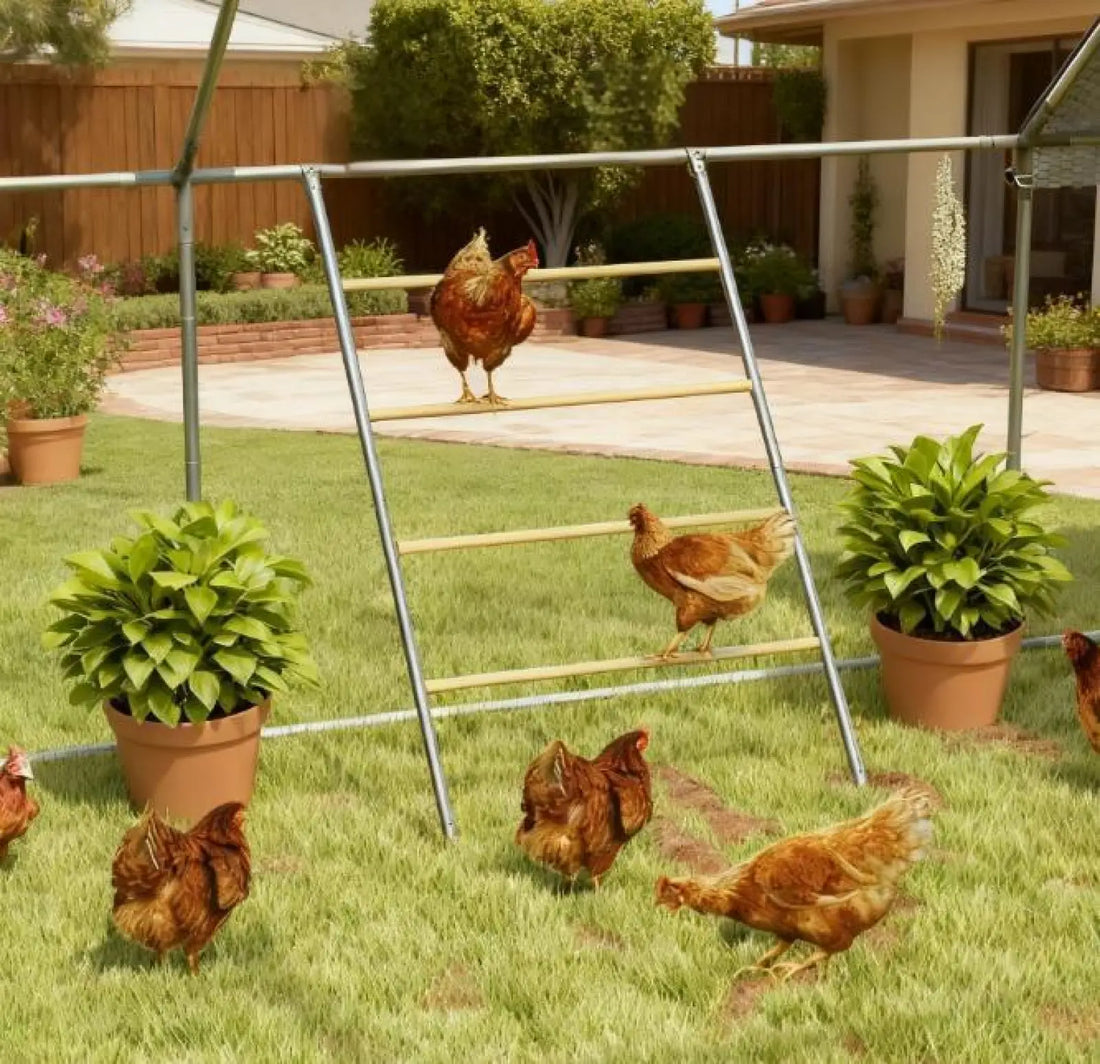 Chicken Roosting Bar 4 Tier Steel Jungle Gym Coop