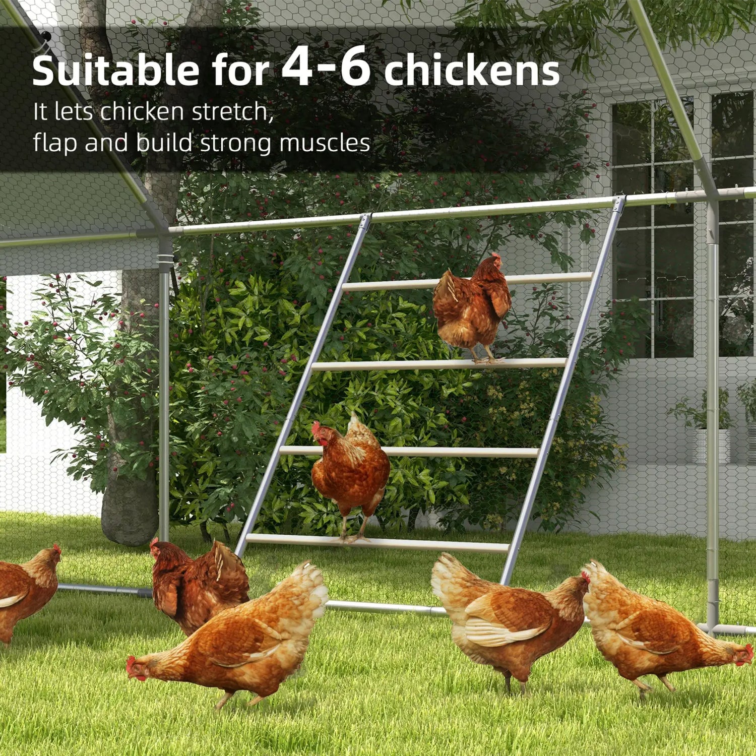 Chicken Roosting Bar 4 Tier Steel Jungle Gym Coop