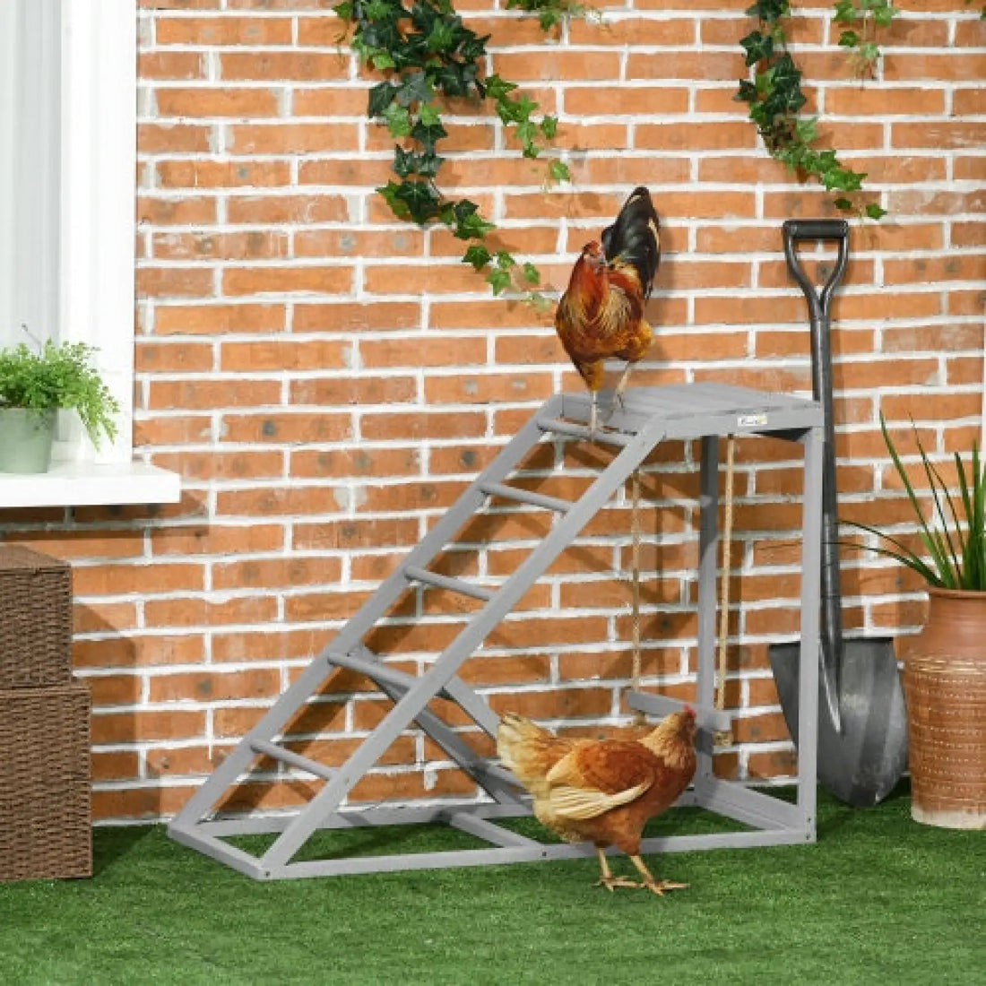 Chicken Toy Swing Set with Perch and Hen Ladder Grey