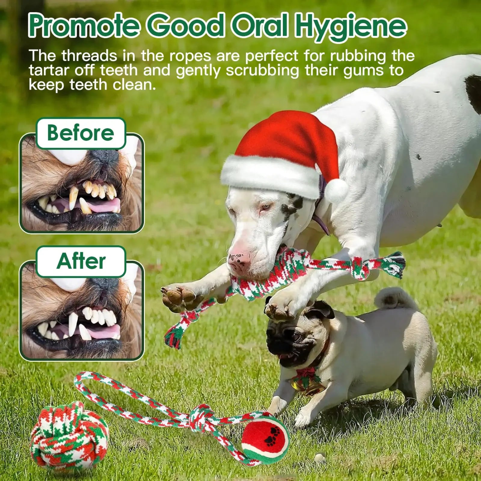 Christmas Dog Rope Toys 5pcs Teething Chew Set