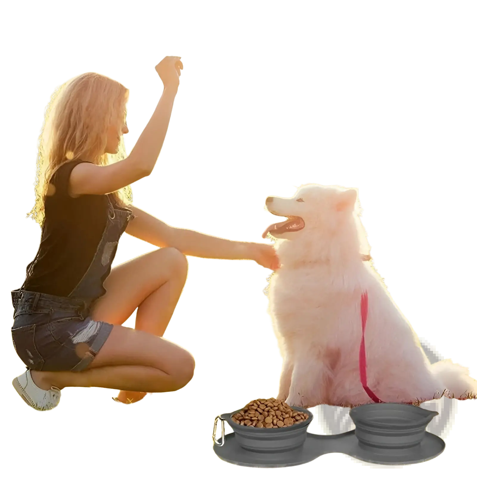 Collapsible Dog Bowl Double Silicone Travel Set