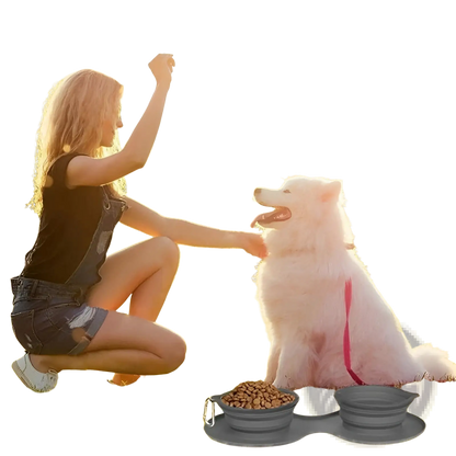Collapsible Dog Bowl Double Silicone Travel Set
