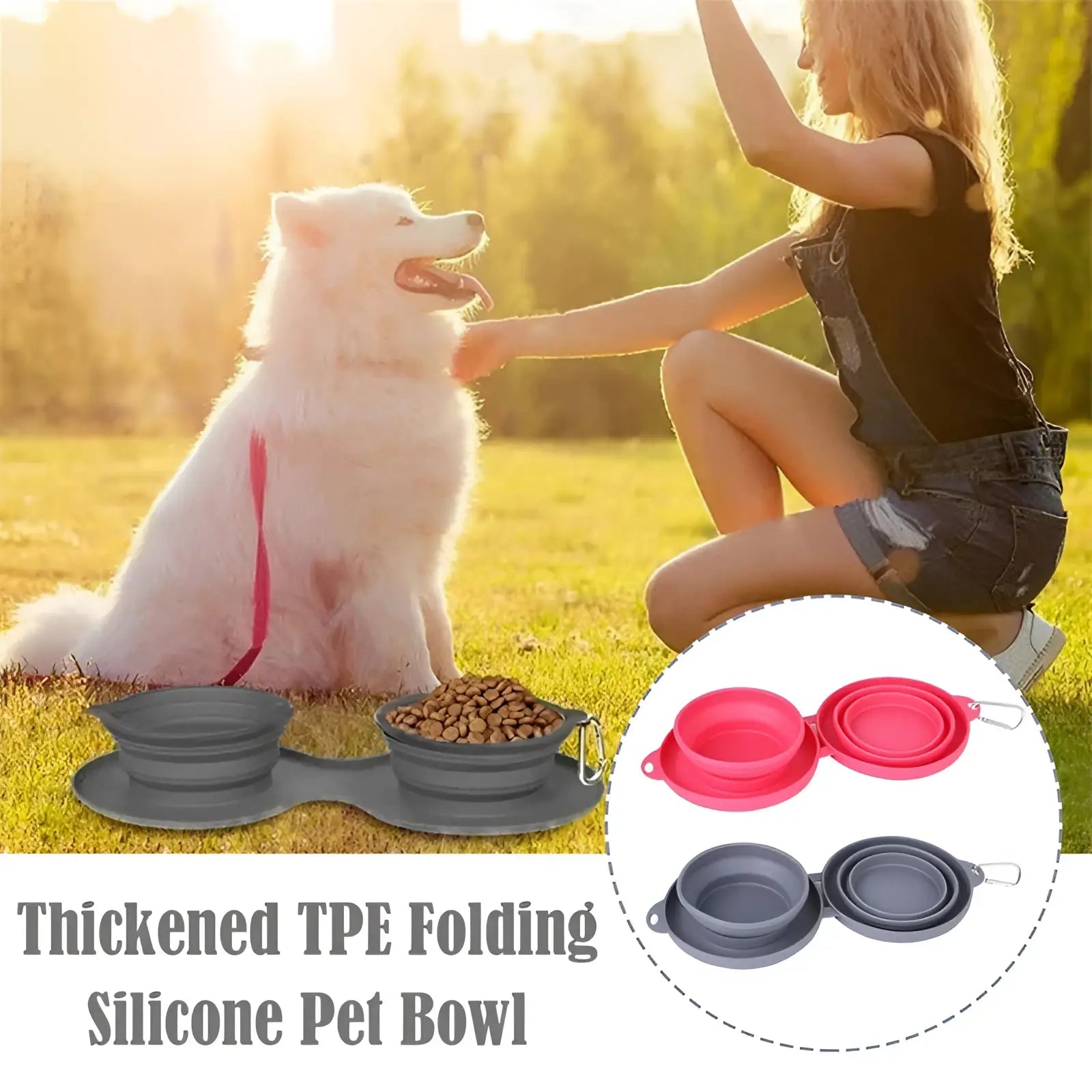 Collapsible Dog Bowl Double Silicone Travel Set