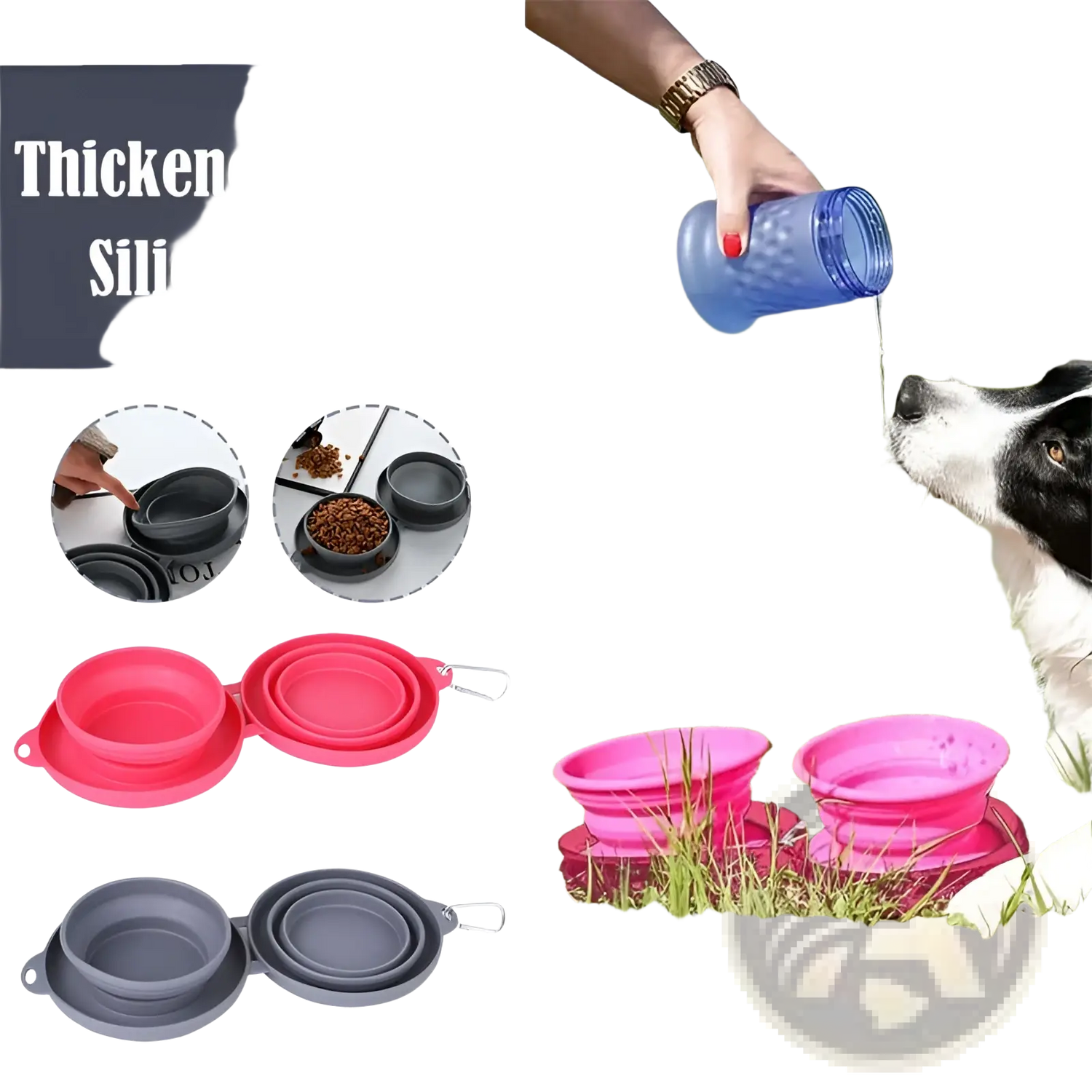 Collapsible Dog Bowl Double Silicone Travel Set