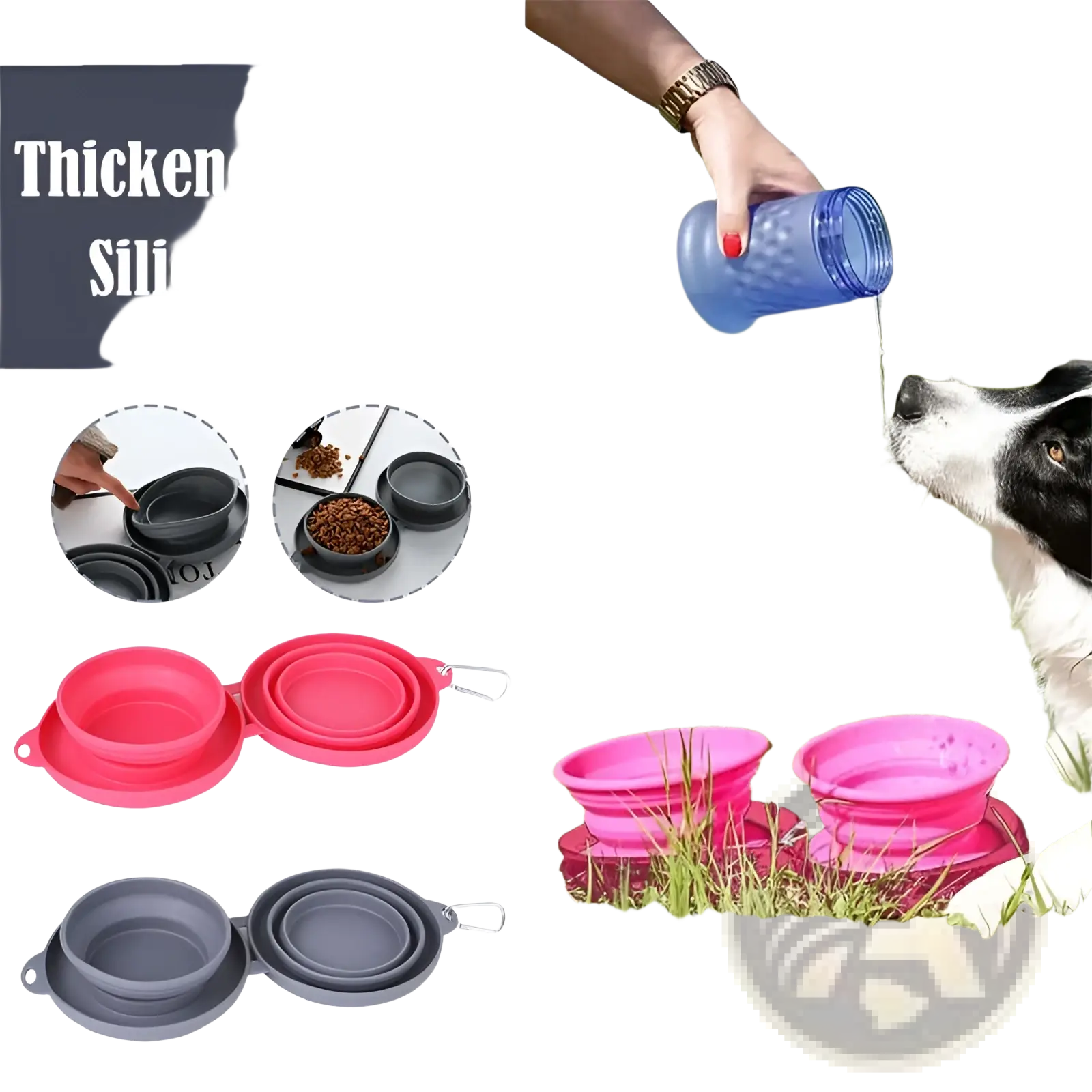 Collapsible Dog Bowl Double Silicone Travel Set