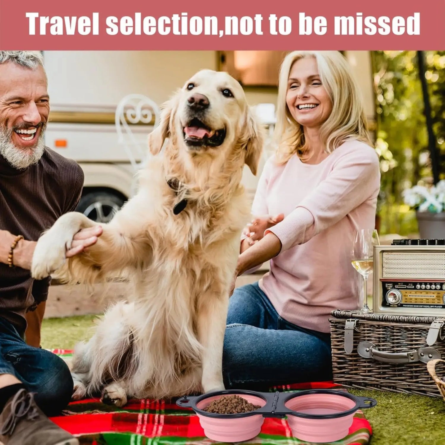 Collapsible Dog Bowls Reinforced Rim Dual Travel Feeder