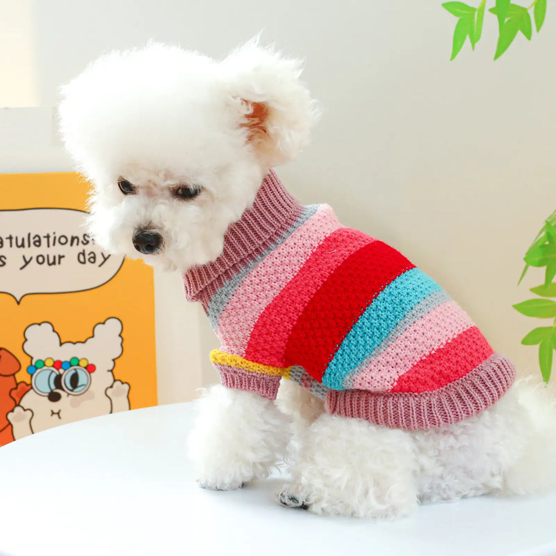 Colorful Striped Pet Sweater for Small Dogs and Cats
