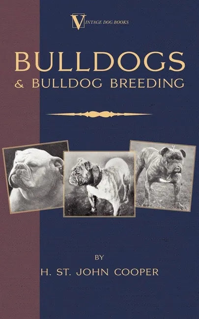 Bulldogs and Bulldog Breeding (A Vintage Dog Books Breed Classic) - Paperback