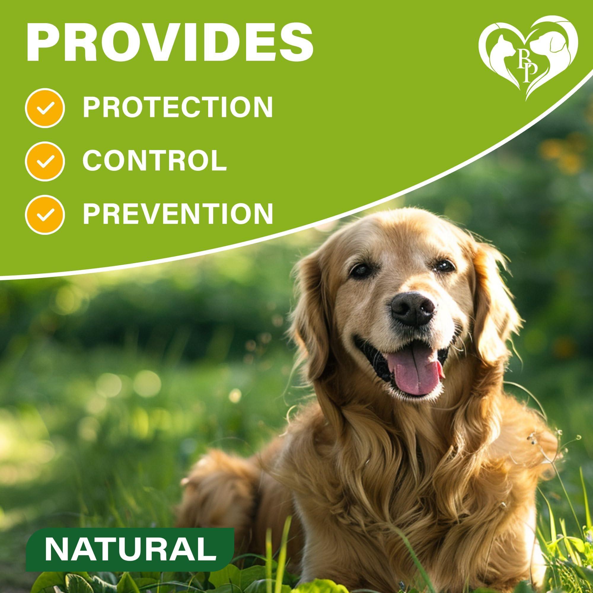 Flea &amp; Tick Collar for Dogs 6-Month Protection Essential Oil 2 Count