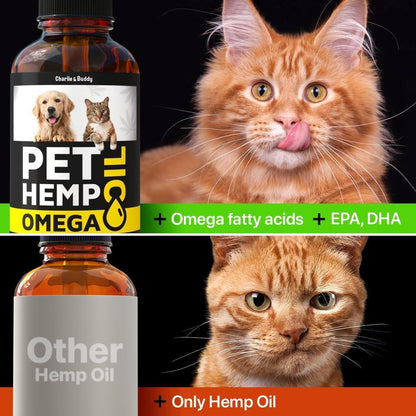 Hemp &amp; Salmon Oil for Dogs Omega 3-6-9 Skin &amp; Coat 1 fl oz