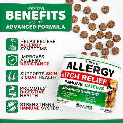 Dog Allergy Relief Chews 2-Pack Itchy Skin Relief Omega-3 Fish Oil Skin &amp; Coat