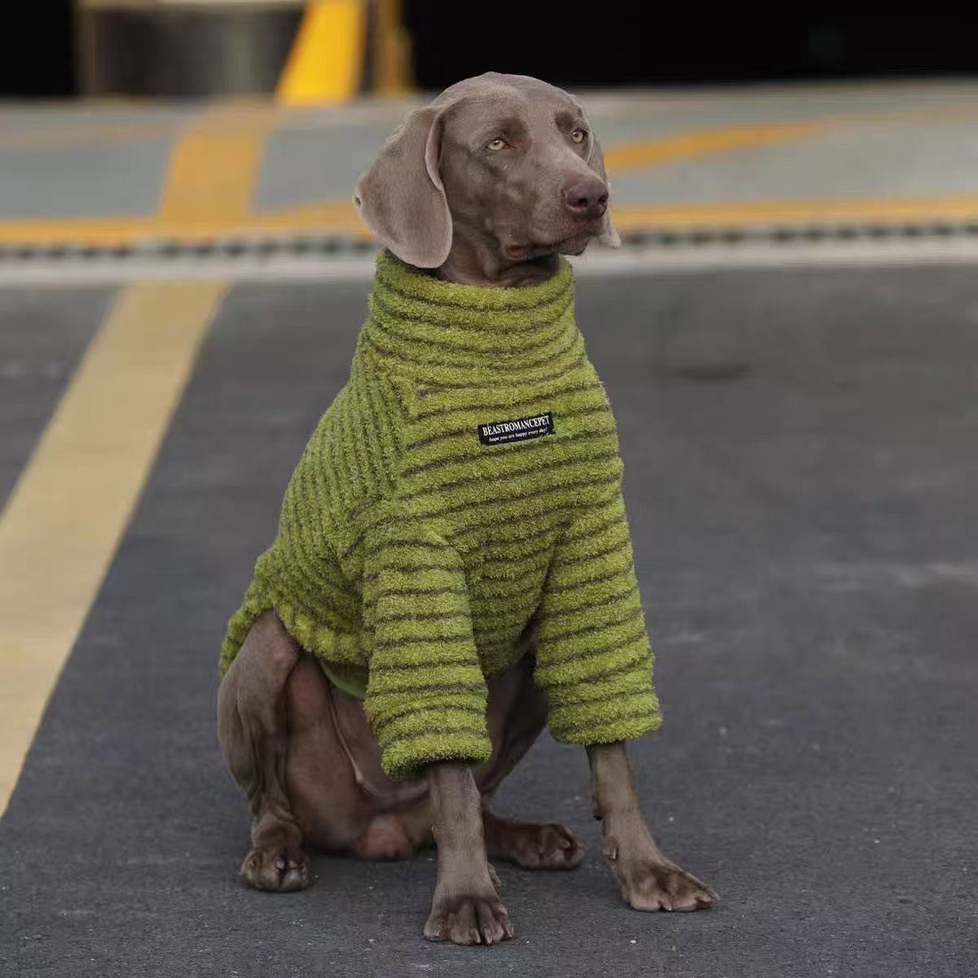 Warm Fleece Sweater For Medium- To Large-Sized Dogs