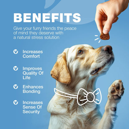 Hemp Calming Chews for Dogs Anxiety Relief L-Theanine &amp; Chamomile