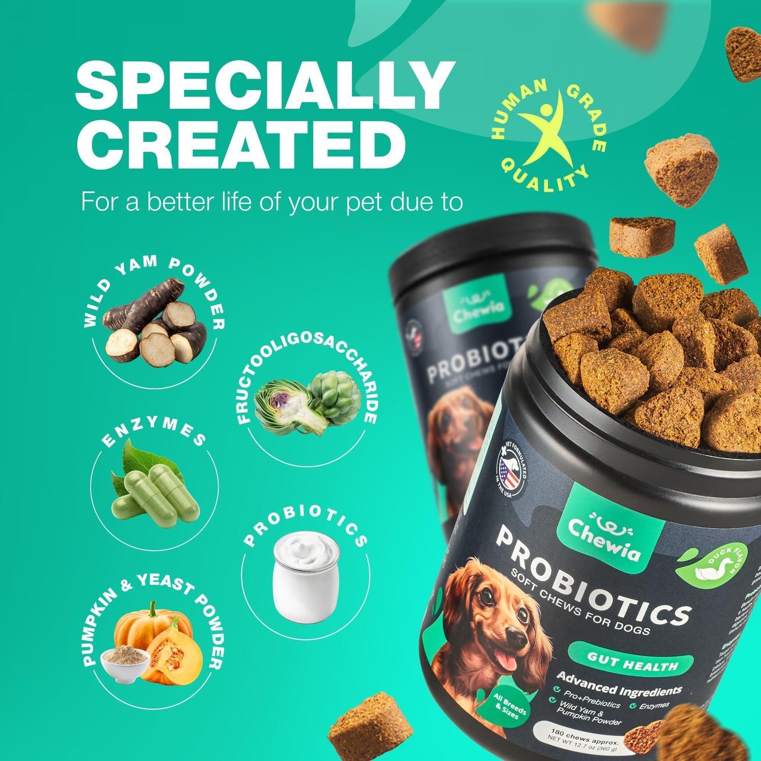 Probiotics for Dogs Digestive Enzymes Gut Health Pumpkin &amp; Yeast Powder