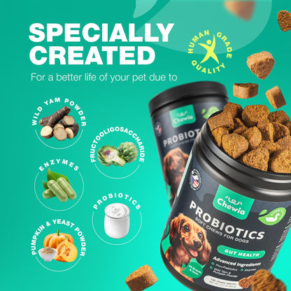 Probiotics for Dogs Digestive Enzymes Gut Health Pumpkin &amp; Yeast Powder
