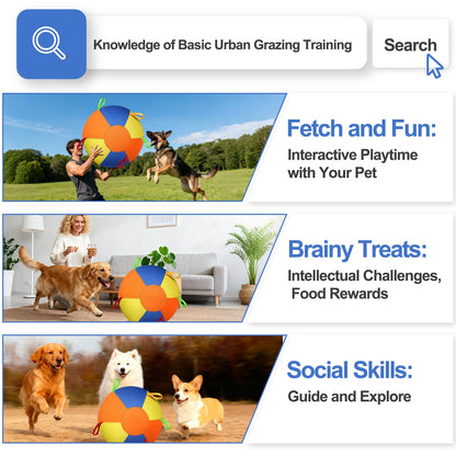 Herding Ball For Dogs, Large Dog Ball With Handles For Outdoor Play, Indestructible Training Toy Balls For Australian Shepherd, Interactive Toy Balls For Medium &amp; Large Dogs