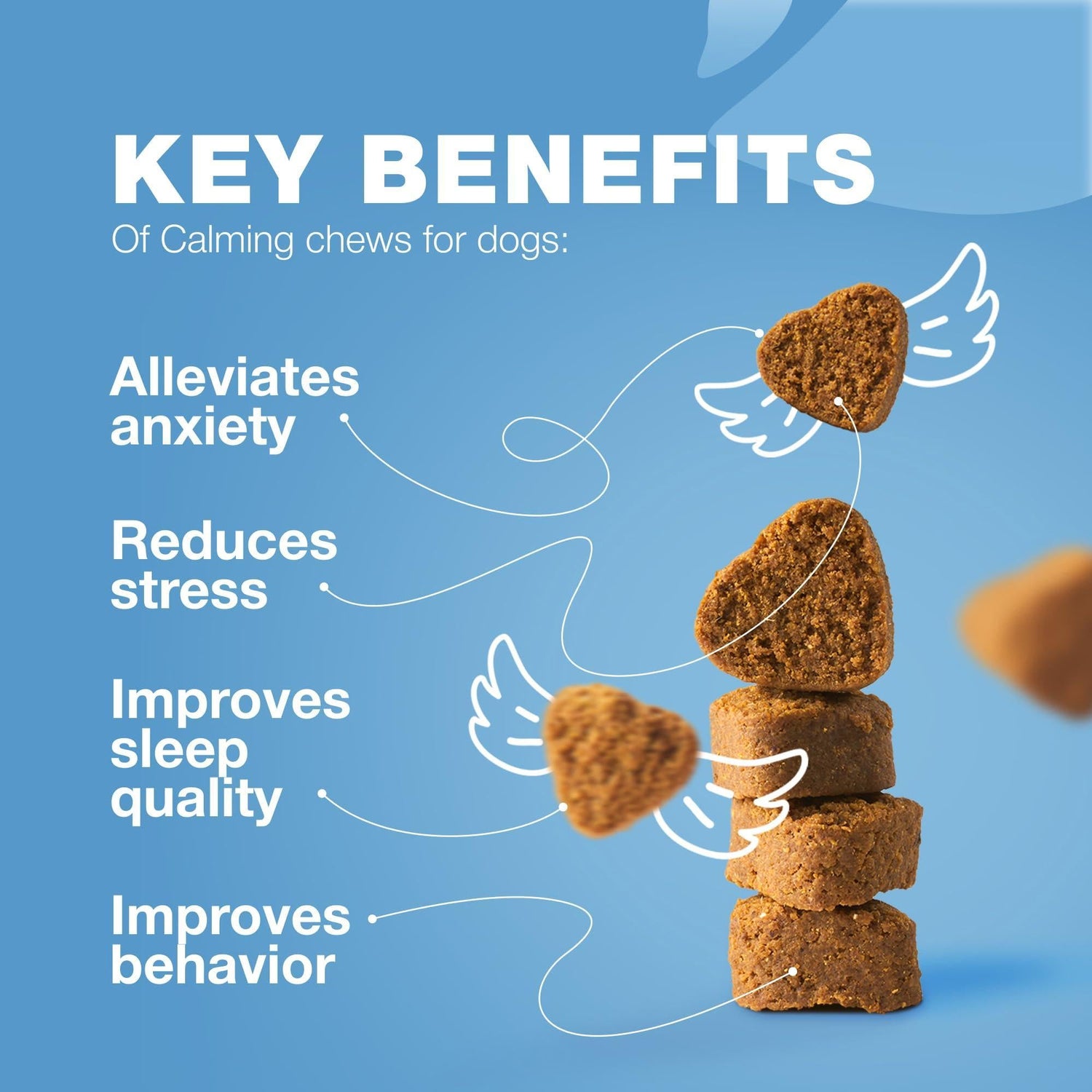 Hemp Calming Chews for Dogs Anxiety Relief L-Theanine &amp; Chamomile