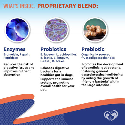 Probiotics &amp; Prebiotics for Dogs &amp; Cats Digestive Enzymes Gut Health