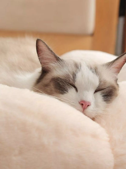 Round Plush Pet Nest with Cloud Pillow