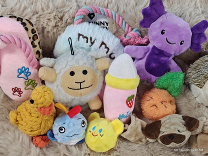 "My Toy Box" Mystery Stuffed Assorted TOY Box