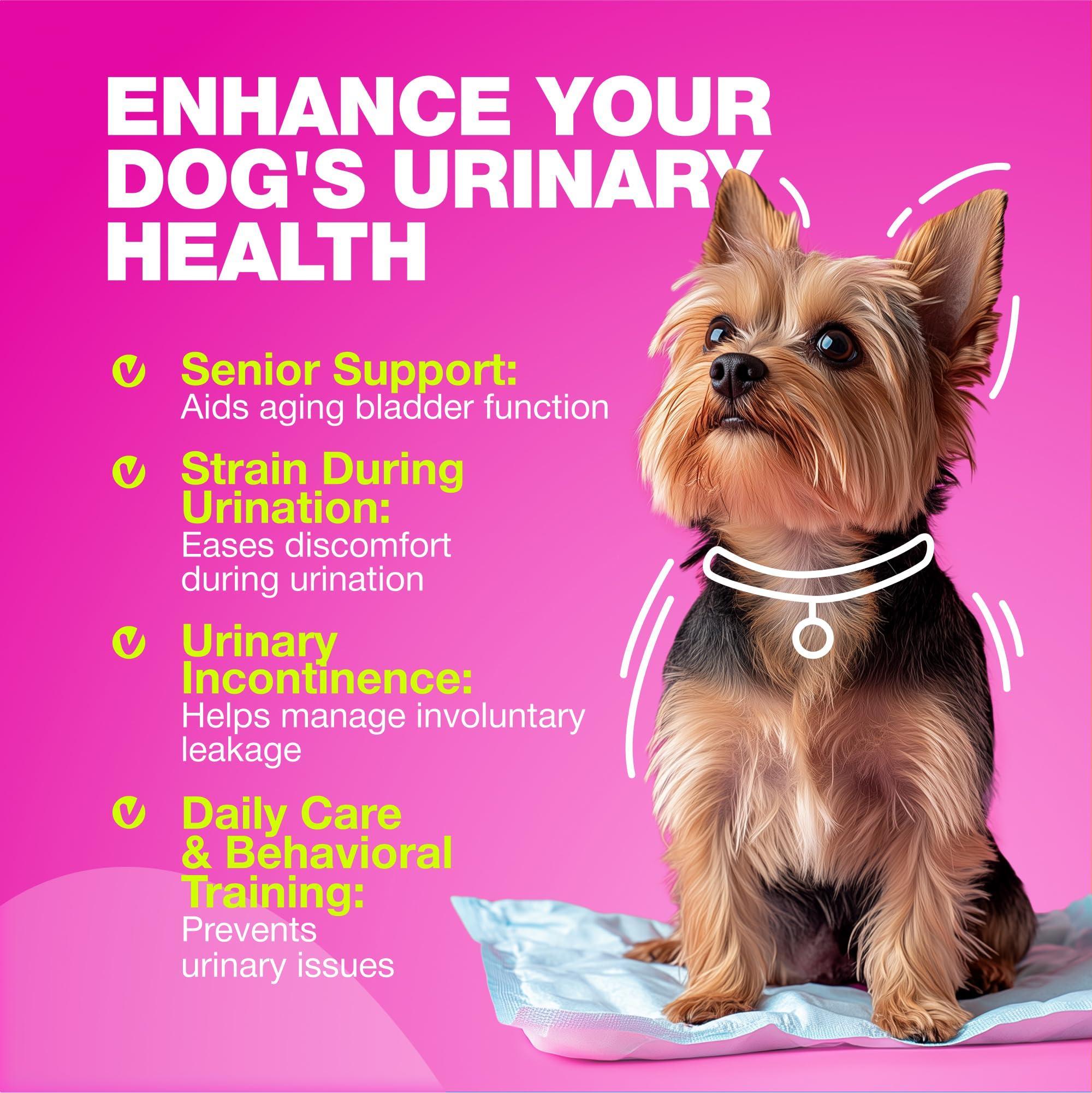 Dog UTI Treatment Cranberry Supplement Bladder &amp; Kidney Health