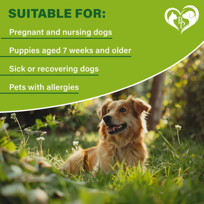 Flea &amp; Tick Collar for Dogs 6-Month Protection Essential Oil 2 Count