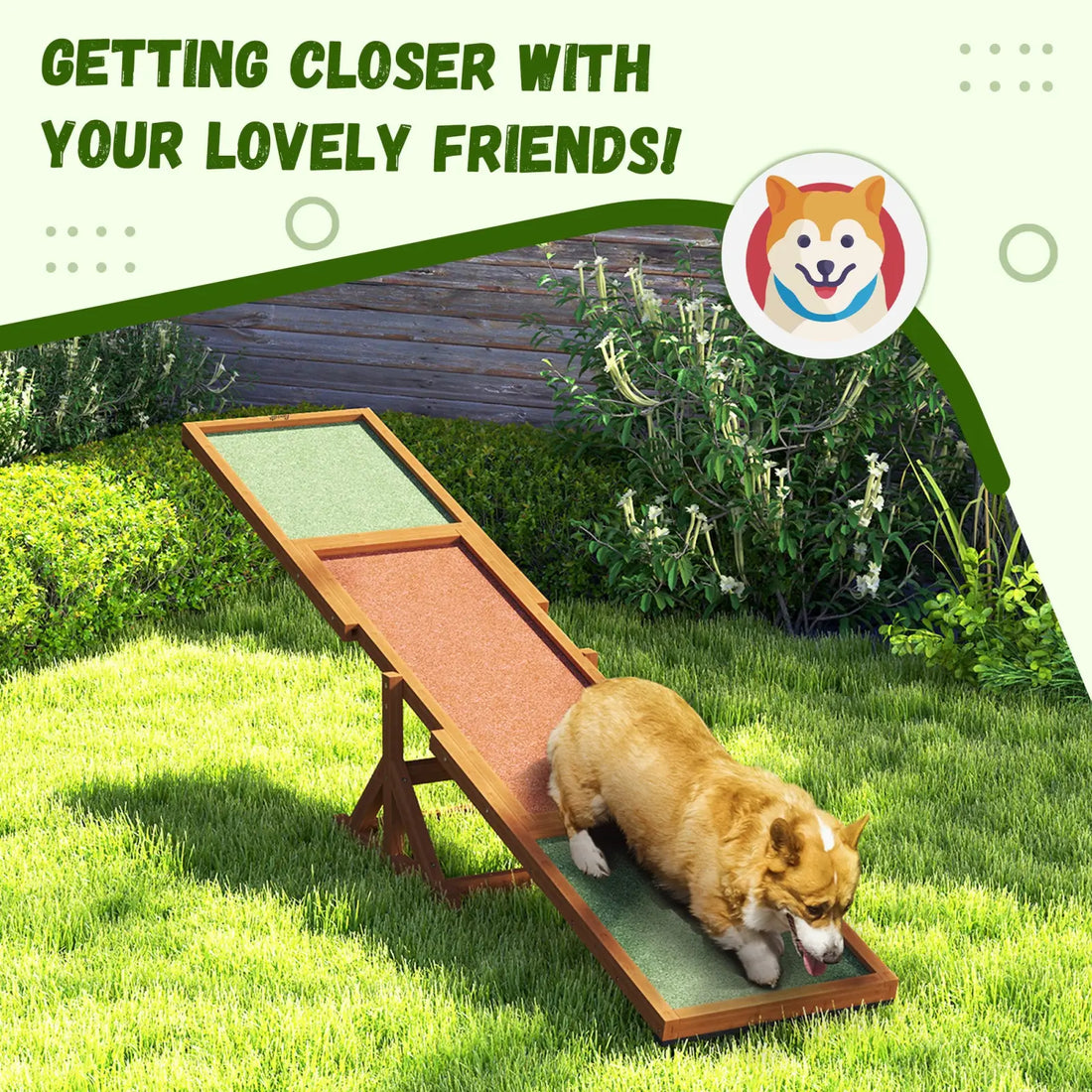 Dog Agility Seesaw Wooden Training Ramp Orange