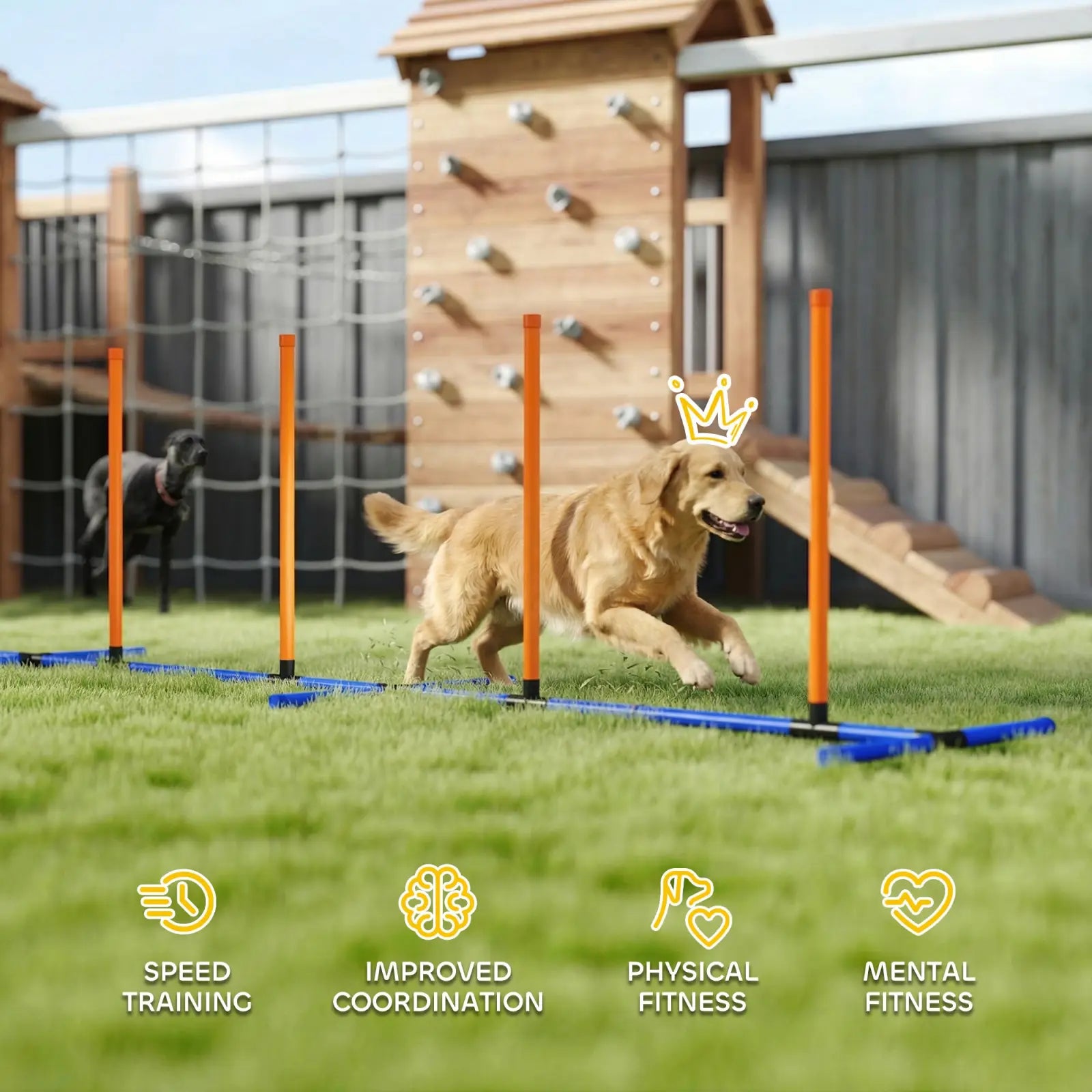 Dog Agility Training Equipment with Adjustable Poles