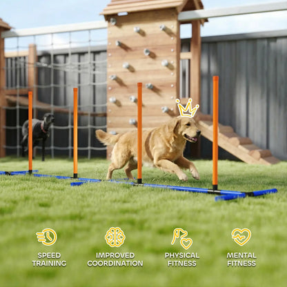 Dog Agility Training Equipment with Adjustable Poles
