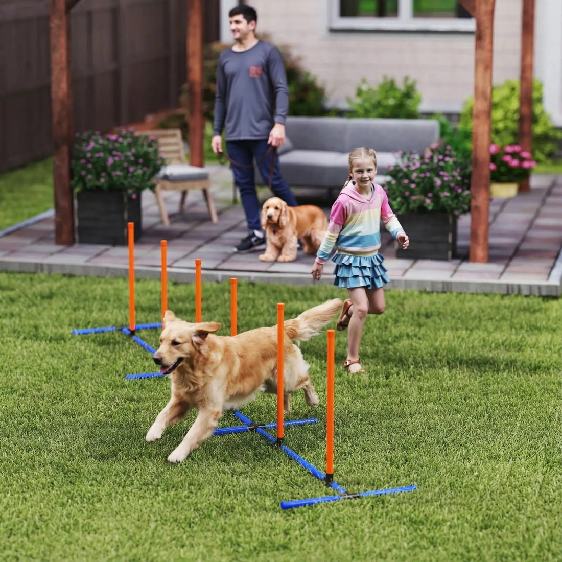 Dog Agility Training Equipment with Adjustable Poles