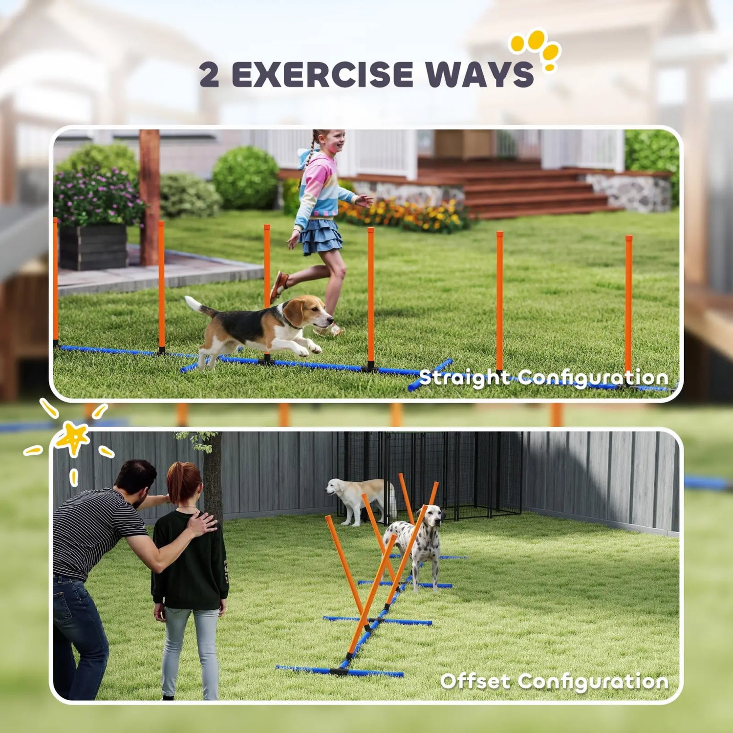 Dog Agility Training Equipment with Adjustable Poles