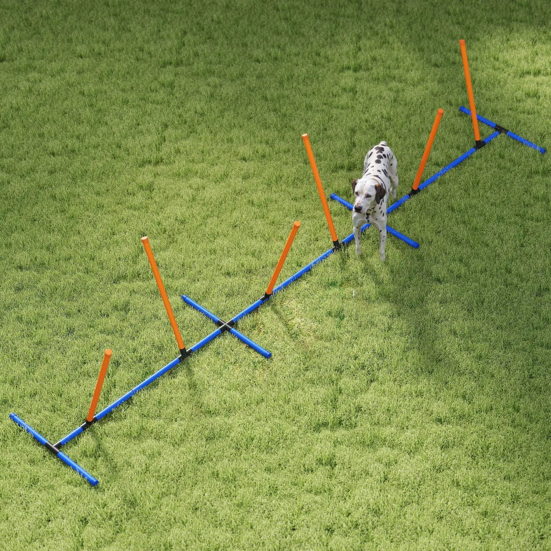 Dog Agility Training Equipment with Adjustable Poles
