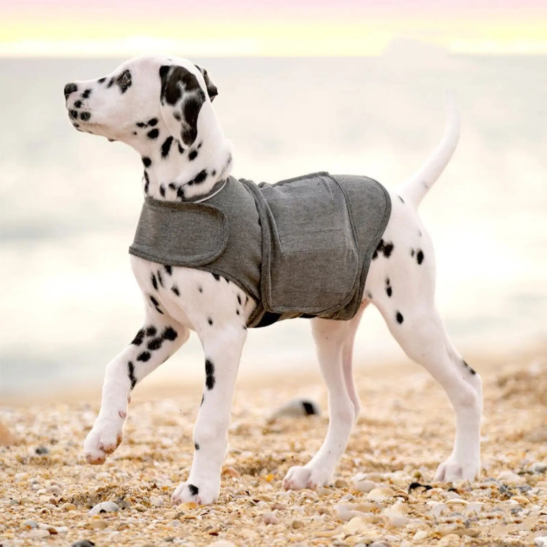 Dog Anxiety Jacket Warm Heather Gray Vest Pet Clothes