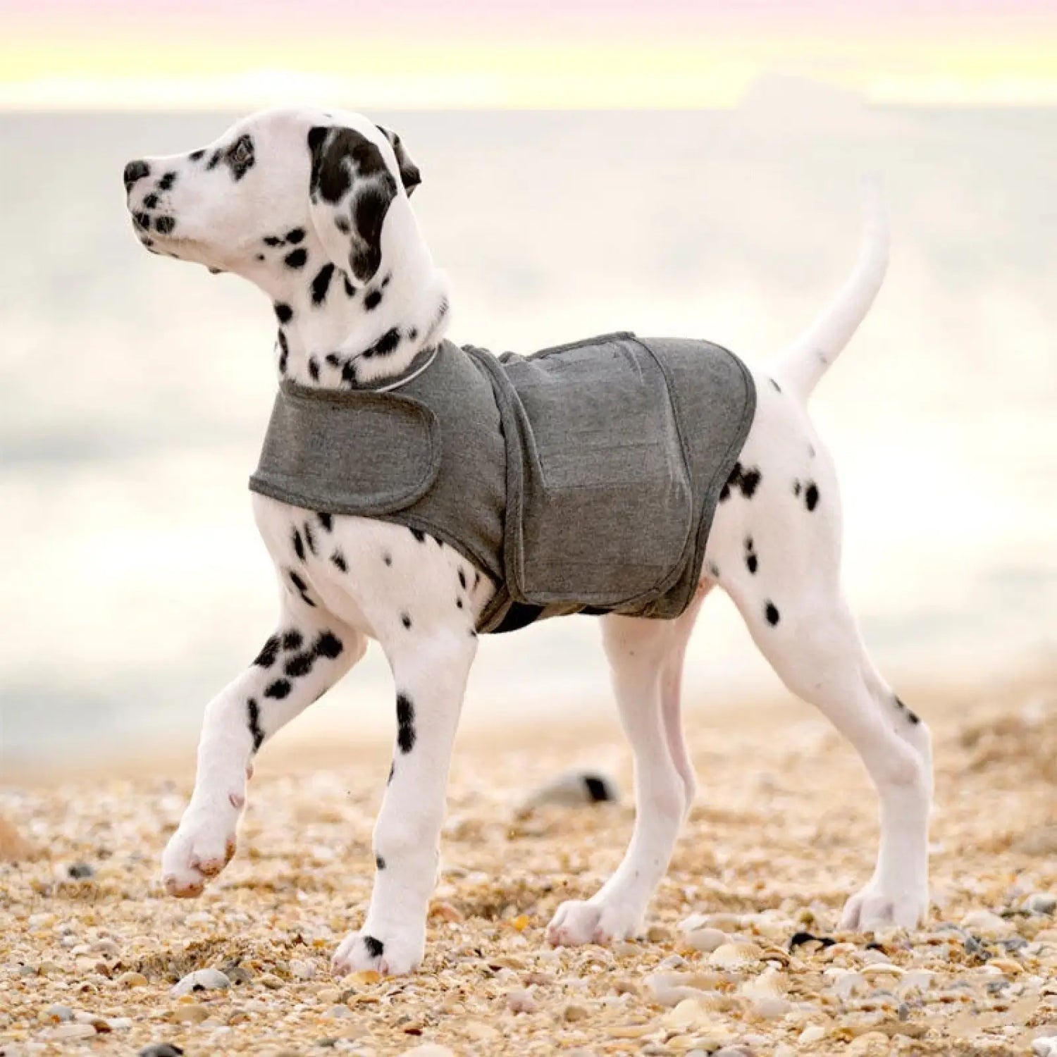 Dog Anxiety Jacket Warm Heather Gray Vest Pet Clothes