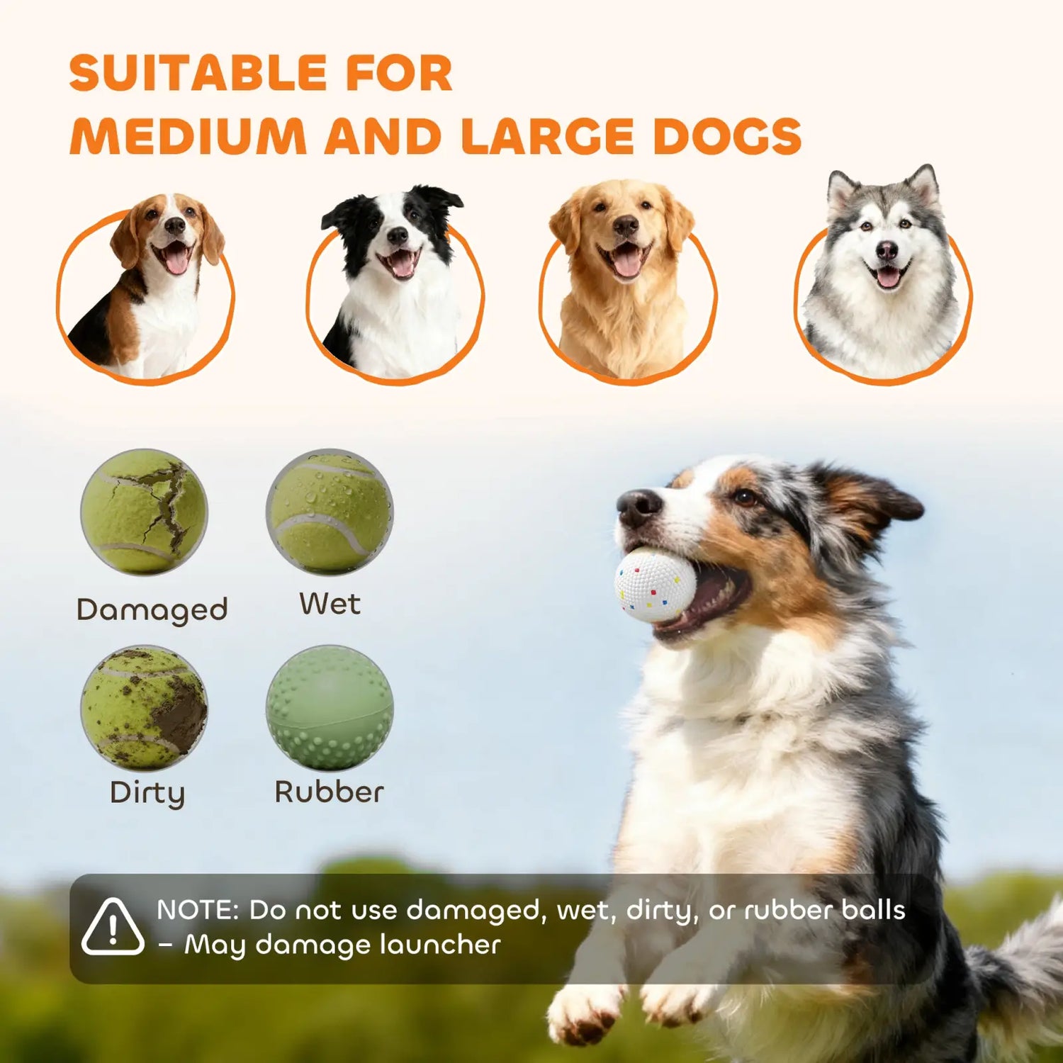 Dog Ball Launcher Automatic for Medium Large Dogs
