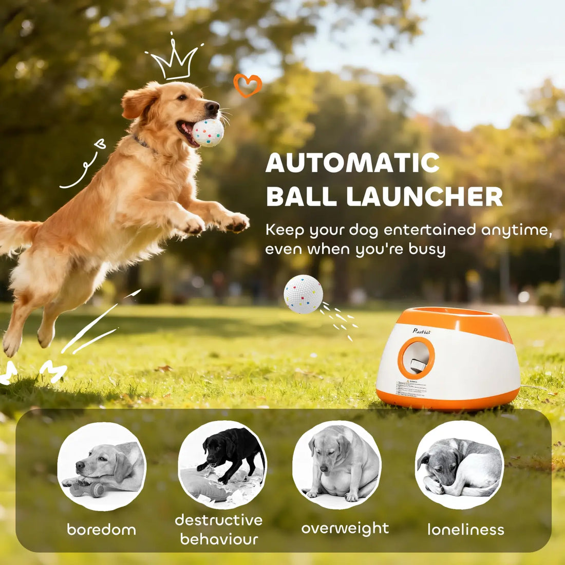 Dog Ball Launcher Automatic for Medium Large Dogs