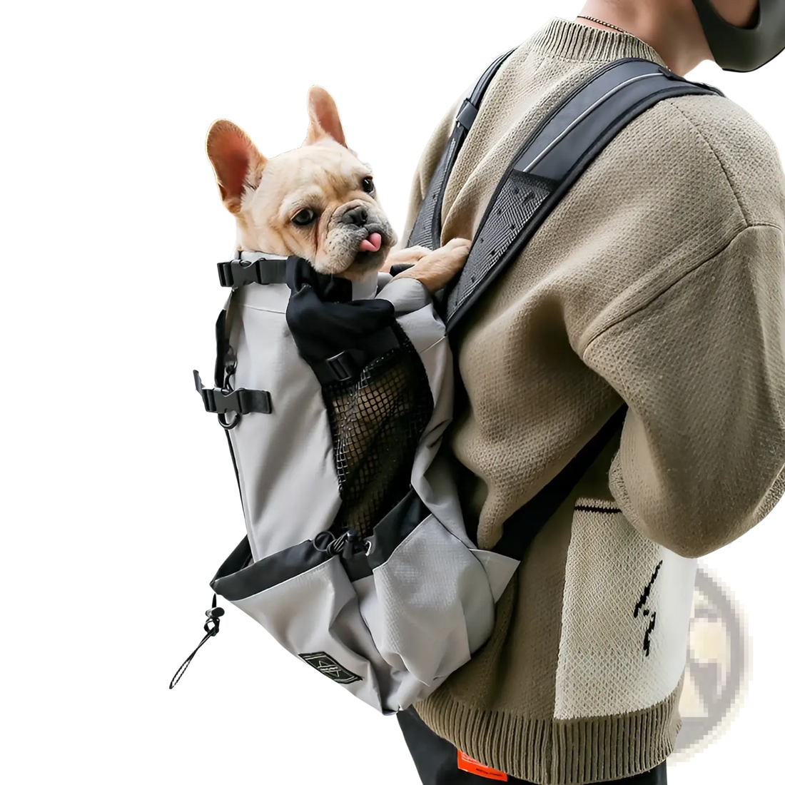 Dog Carrier Backpack Portable Mesh Travel Bag