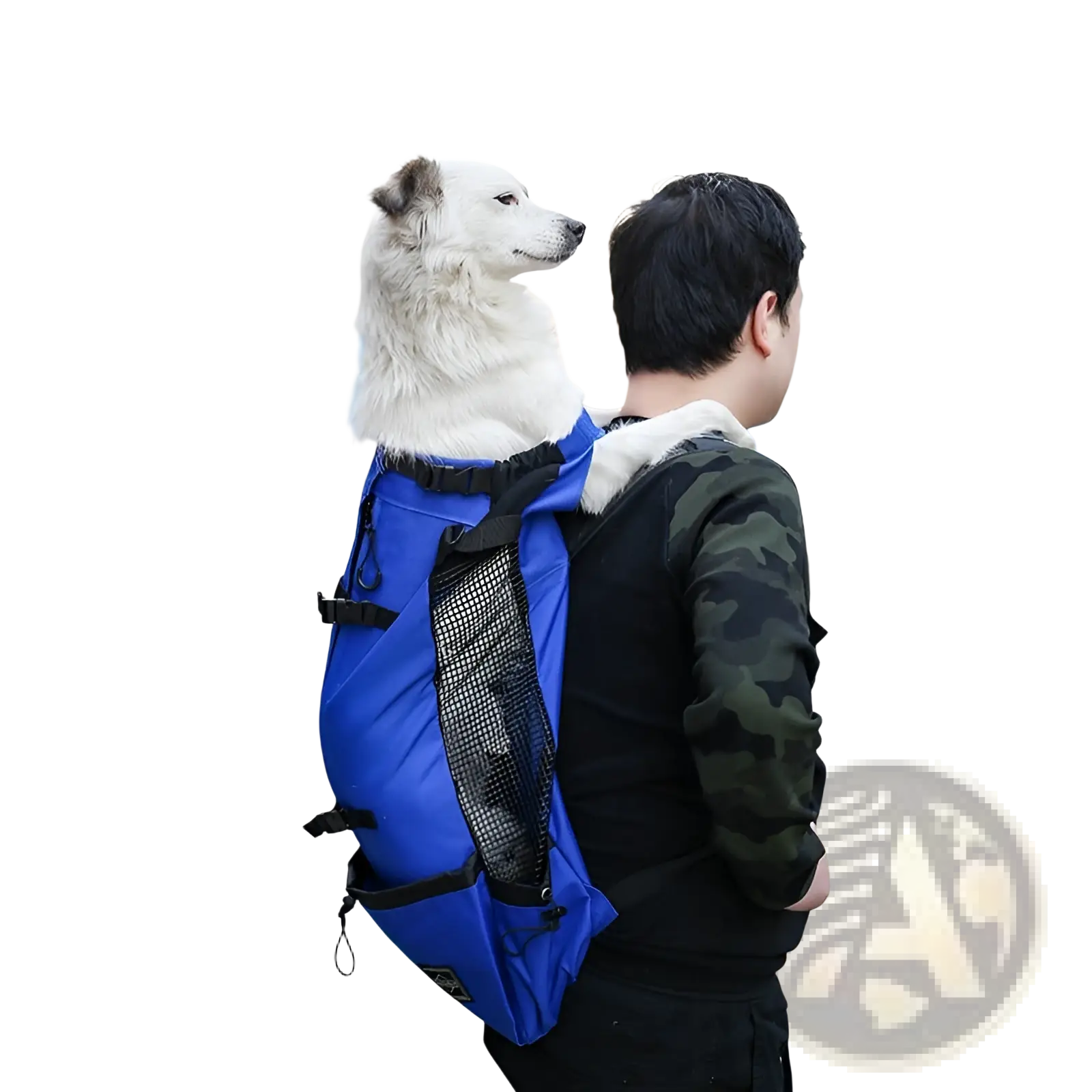 Dog Carrier Backpack Portable Mesh Travel Bag