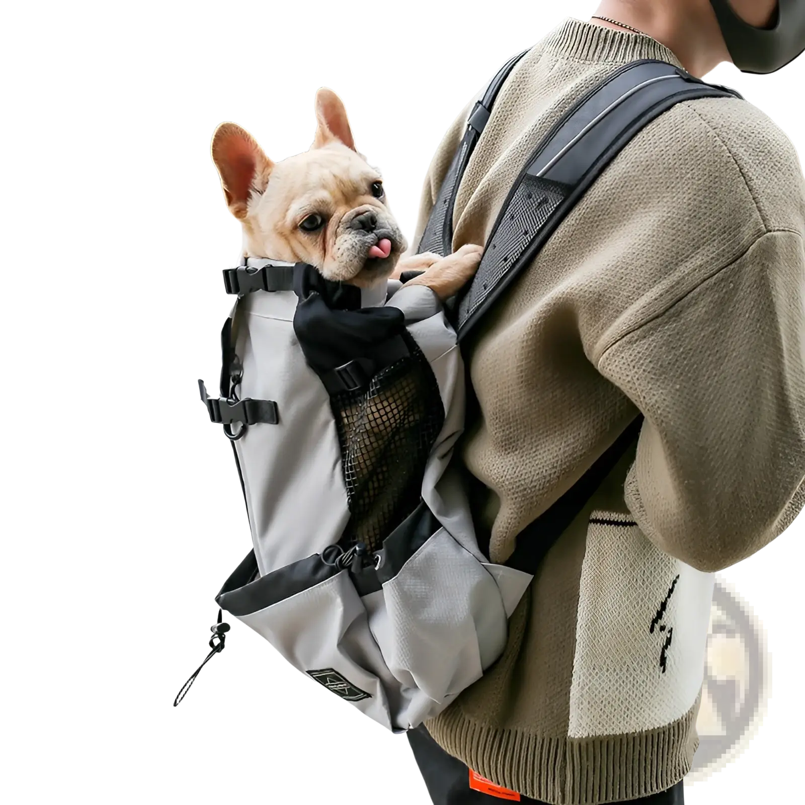 Dog Carrier Backpack Portable Mesh Travel Bag