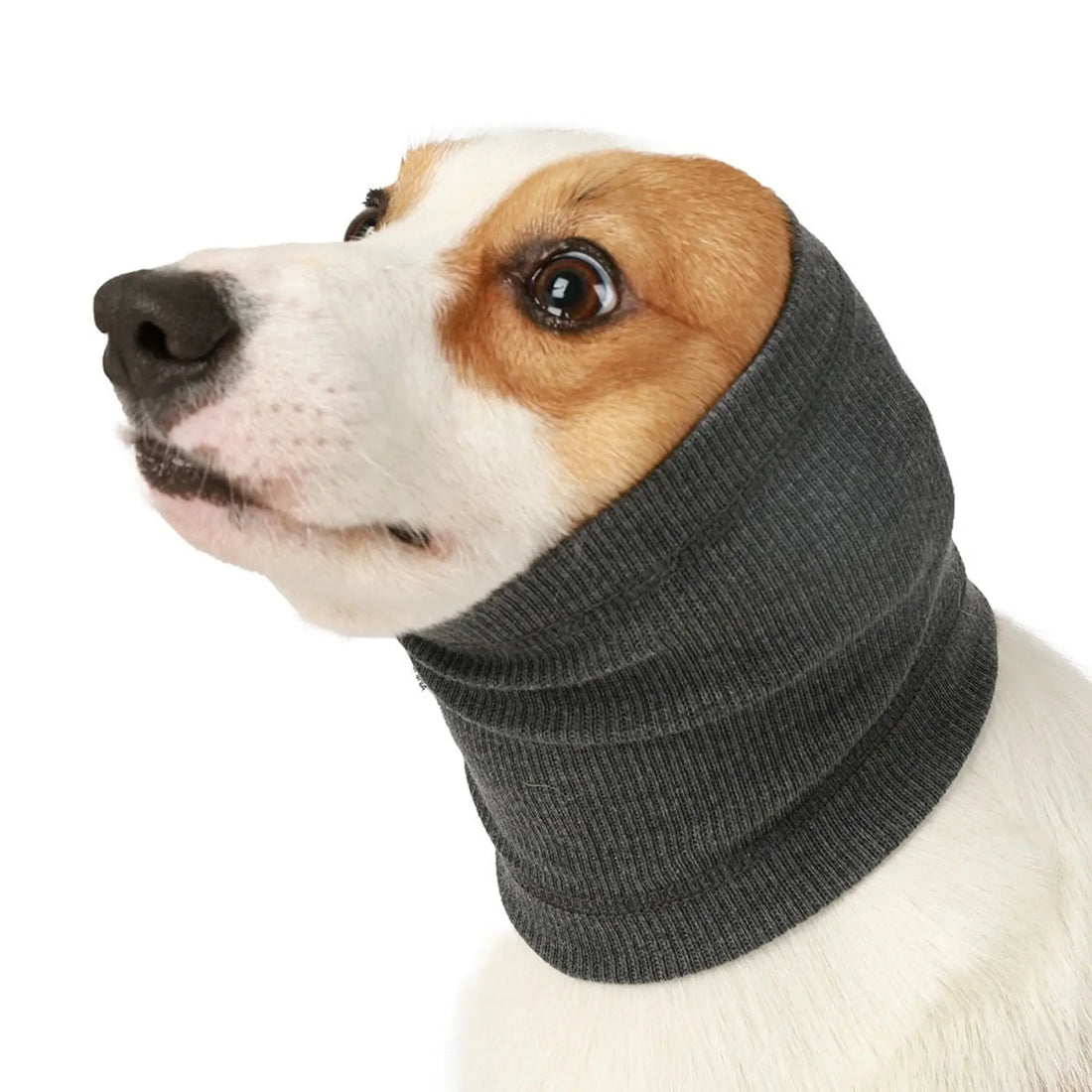 Dog Comforter Headband Scarf Polyester Wrap