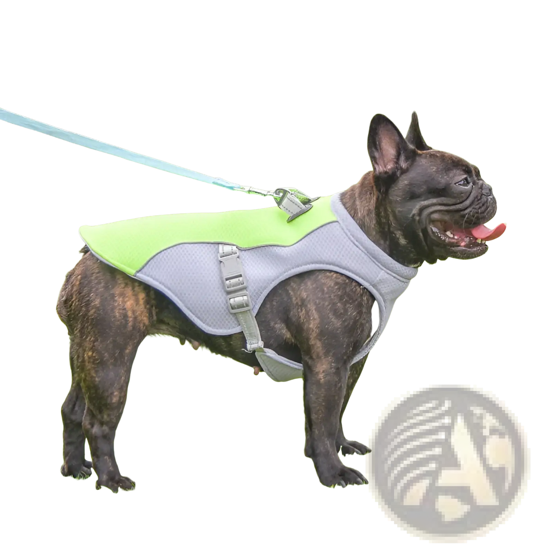 Dog Cooling Vest Reflective Sun Proof Mesh Harness