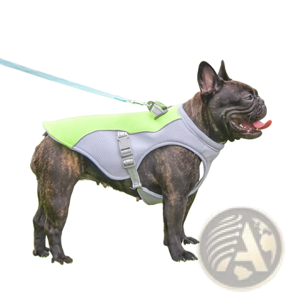 Dog Cooling Vest Reflective Sun Proof Mesh Harness