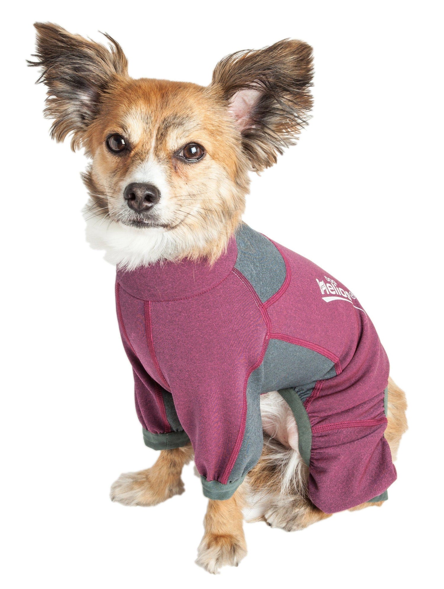 Dog Helios ® &