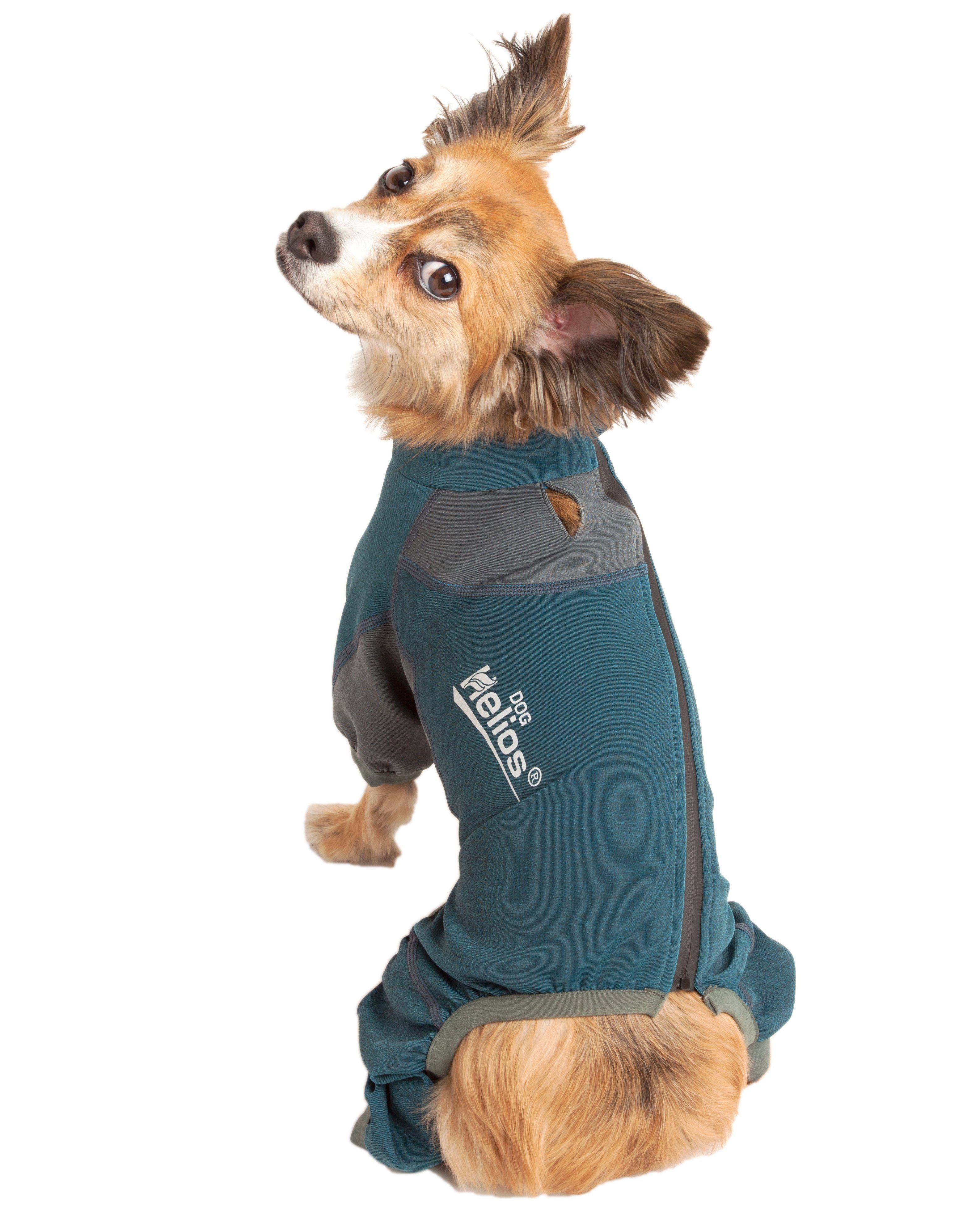 Dog Helios ® &