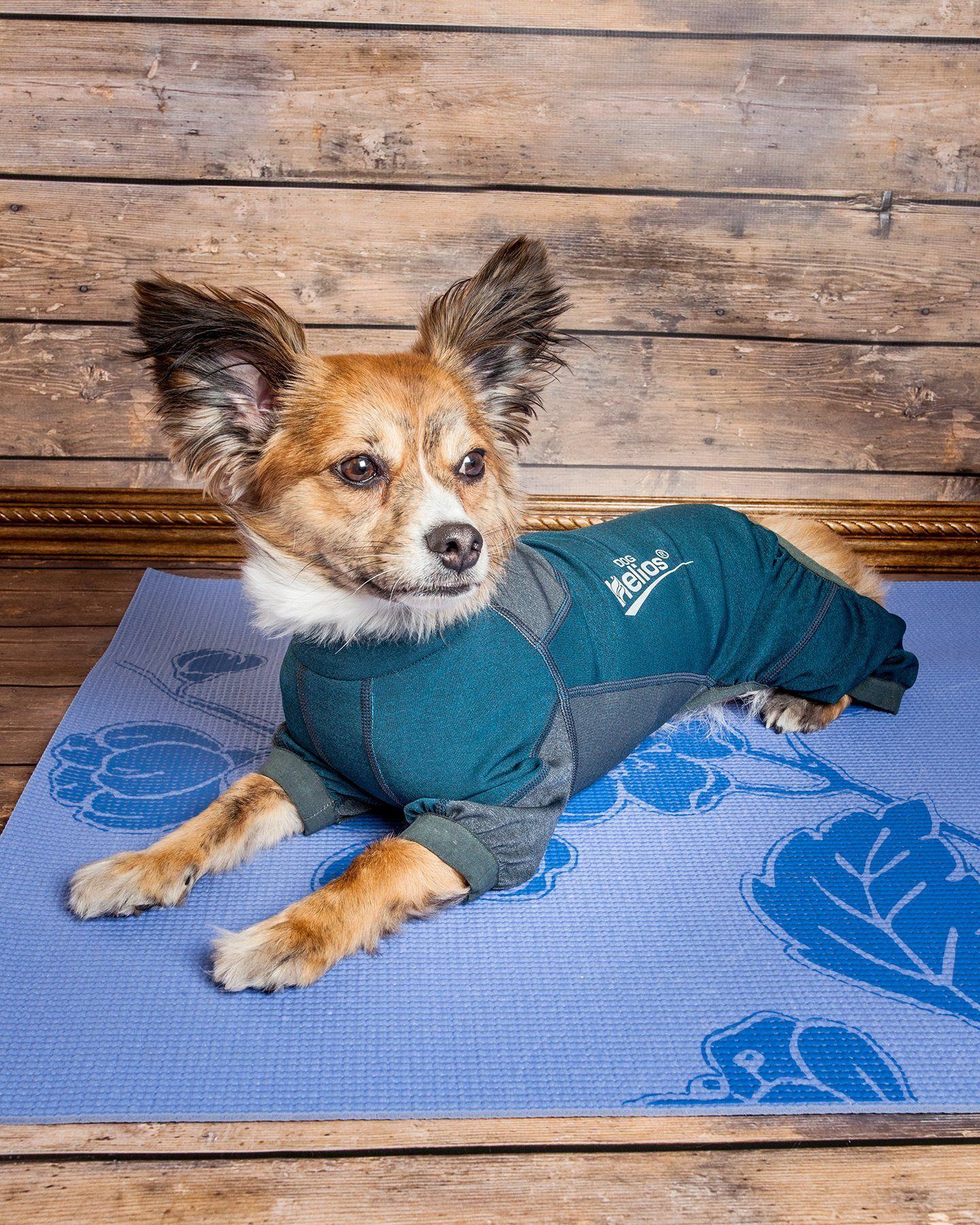 Dog Helios ® &