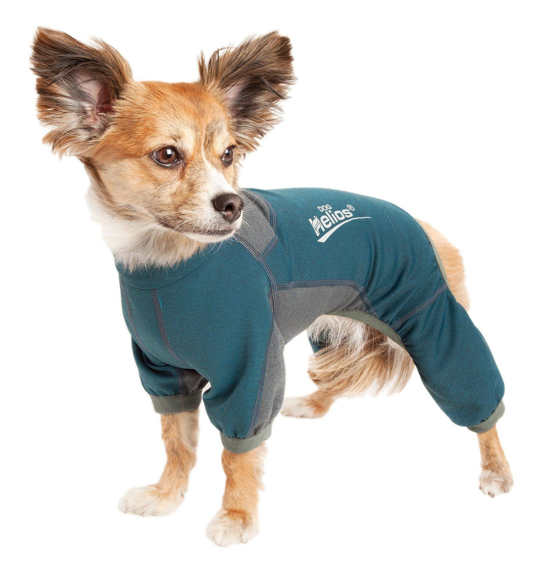 Dog Helios ® &