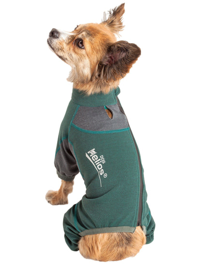 Dog Helios ® &