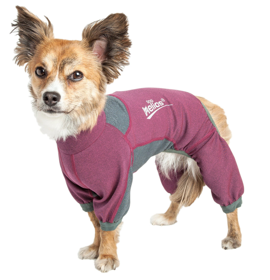 Dog Helios ® &