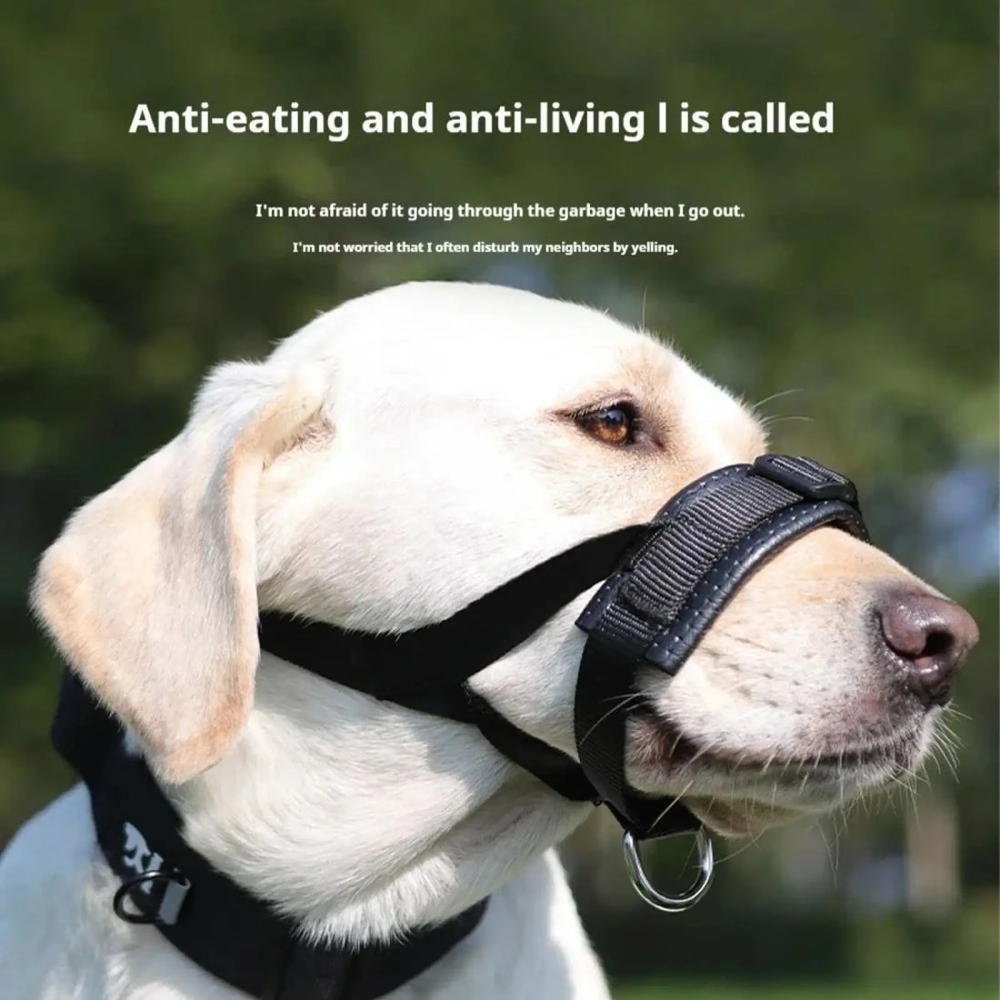 Dog Muzzle Adjustable Padded Nylon Anti Barking