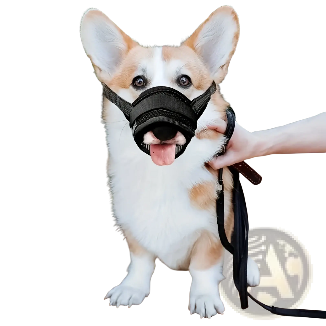 Dog Muzzle Mesh Anti Barking Adjustable Strap